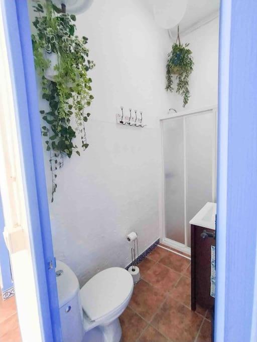 “Flor de Sal” Charming Traditional Andalusian House Ayamonte Exterior foto